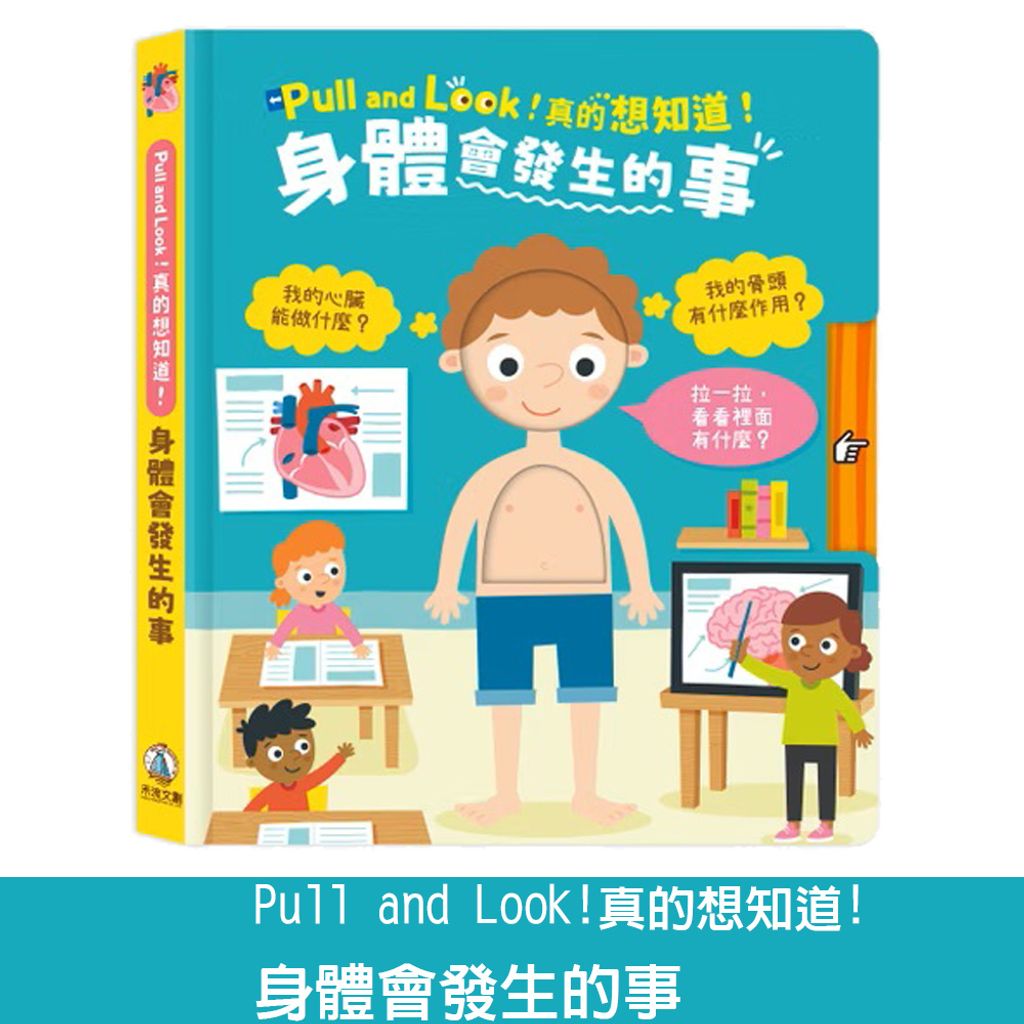 02-CLU5172-選項圖(白底)1000x1000