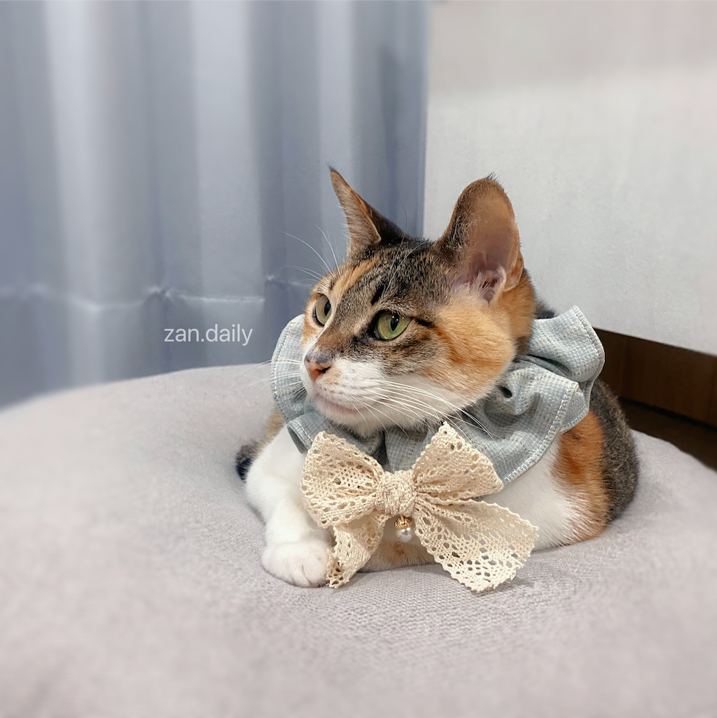 截圖 2024-05-30 下午9.23.45