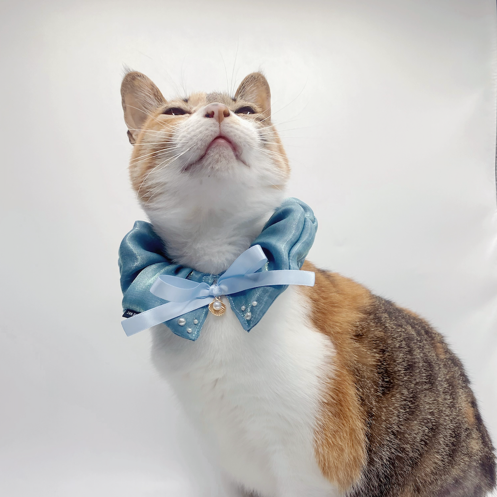 截圖 2024-06-15 下午8.25.01