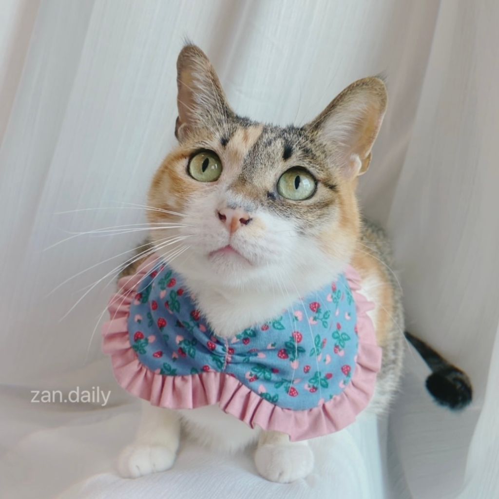 IMG_5908-1721037603797