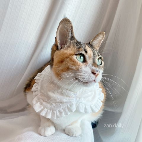 IMG_5912-1721041051114