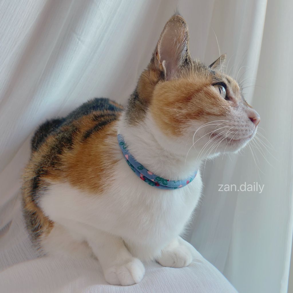 IMG_5922-1721042453583