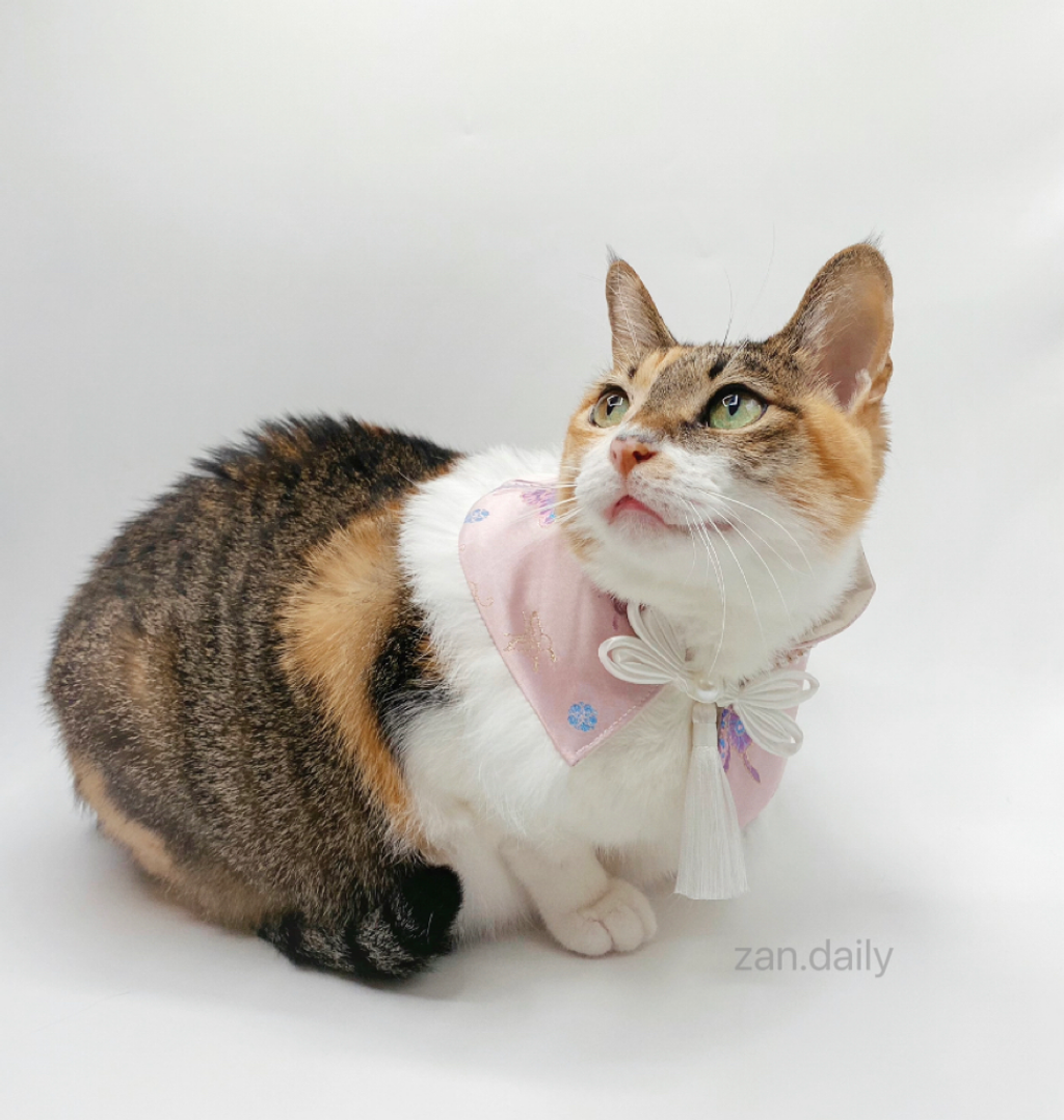 IMG_6811-1722342780237