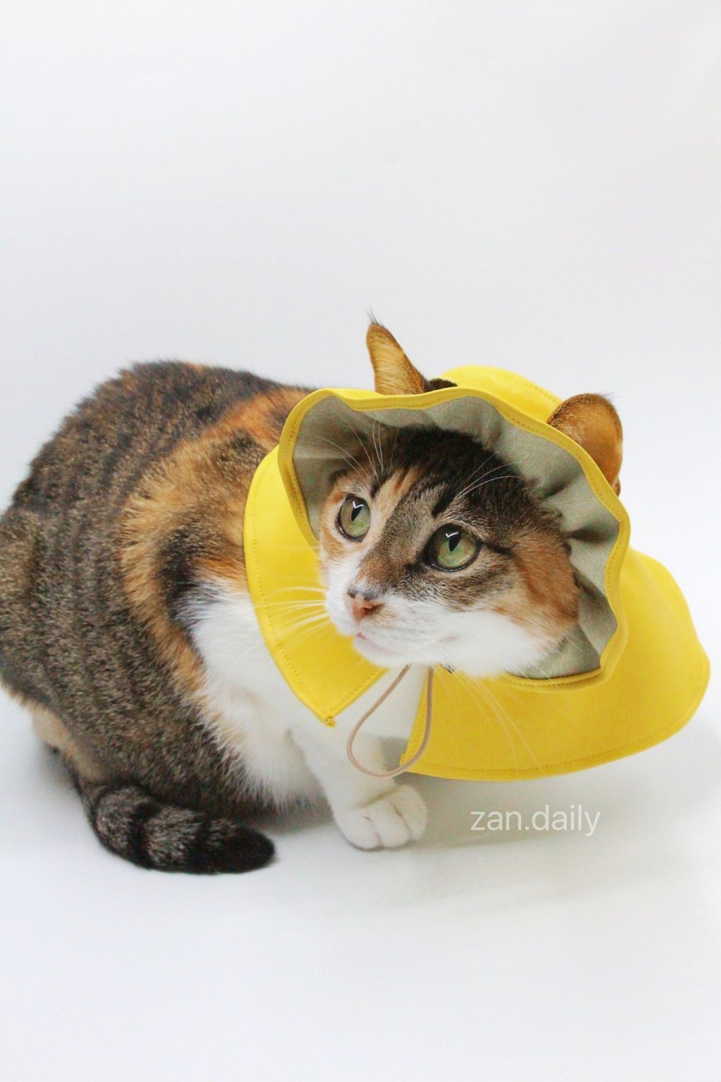 IMG_7583-1725011969750