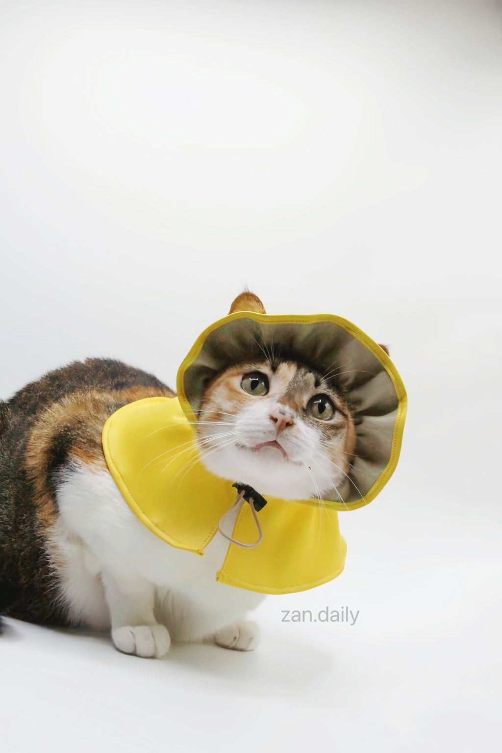 IMG_7587-1725011970340