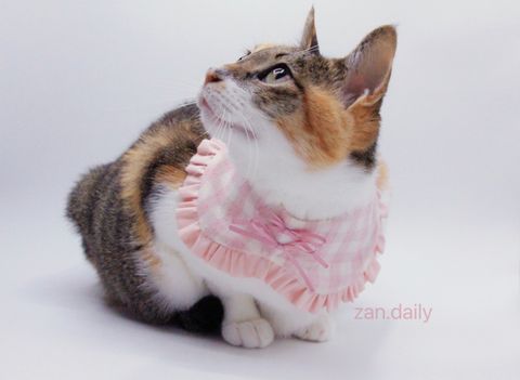 IMG_7581-1725012930503