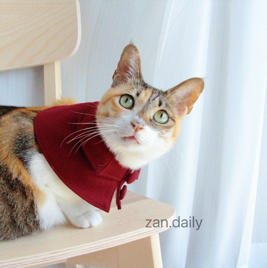 截圖 2024-10-30 下午5.36.53