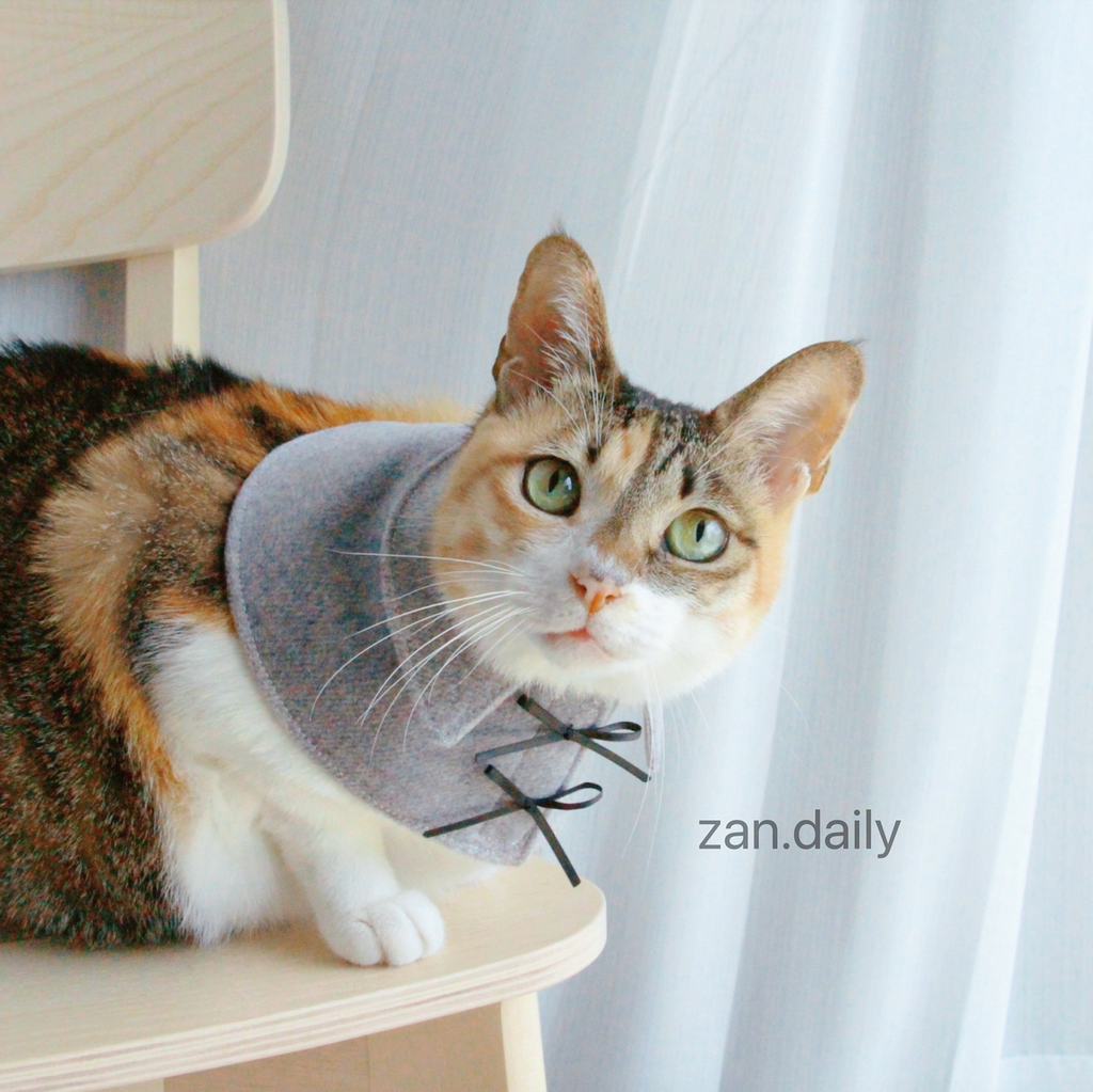 截圖 2024-10-30 下午5.36.13