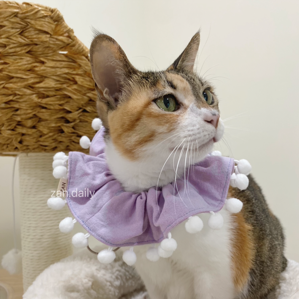 截圖 2025-08-14 下午2.19.02