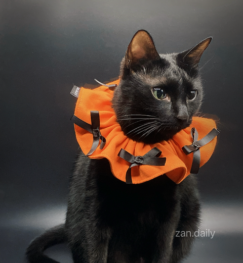 截圖 2025-09-08 下午7.00.18