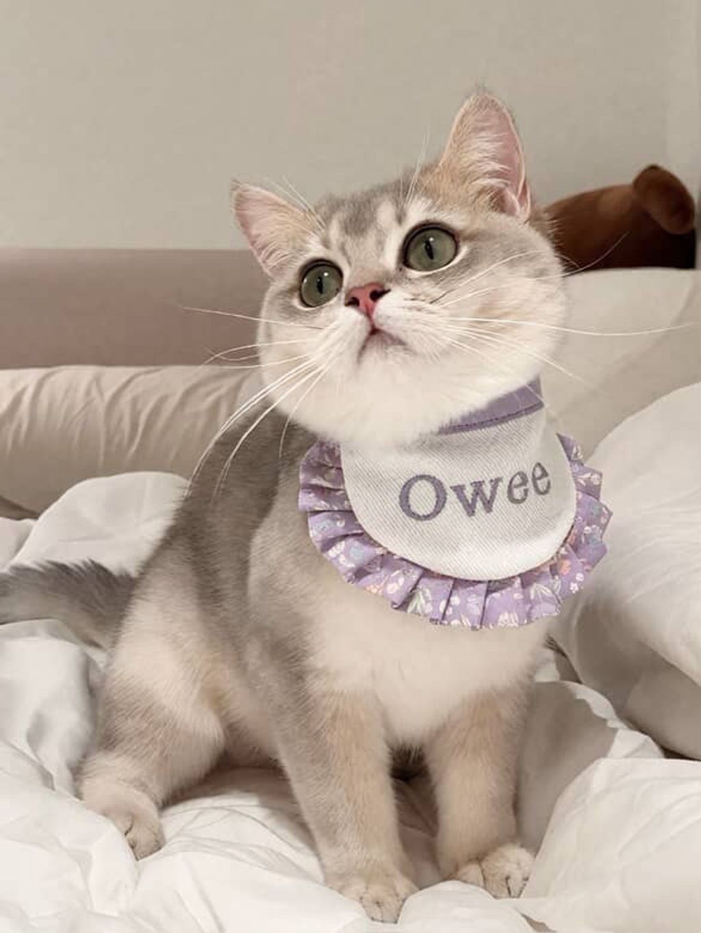 image_E3687147-7A9C-42CF-B02E-3EC62BD3DEC6_1758531087