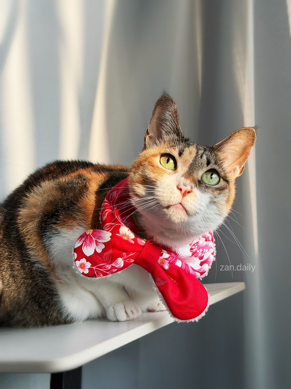 image_AB5A725B-9069-411D-8396-0232F4252F2B_1769161812