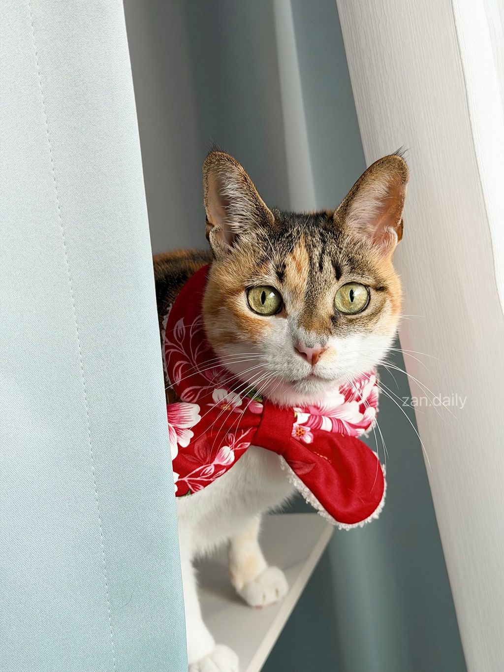 image_0352C40E-F58C-443A-92E9-B2A815A483C5_1769161812