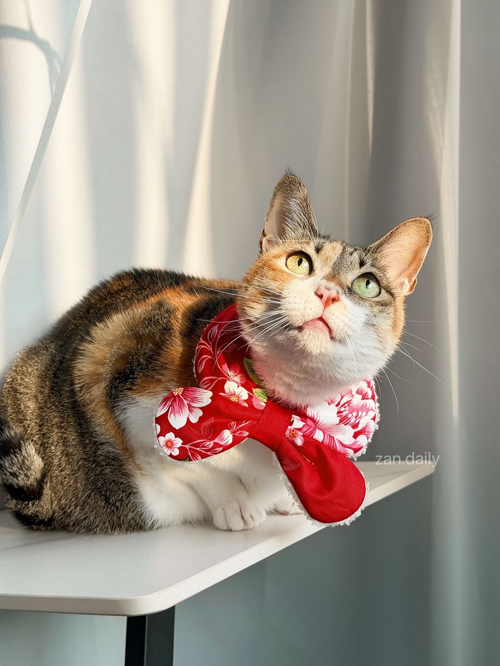 image_54298BE1-8E4A-4826-871B-A013794BE66D_1769161812