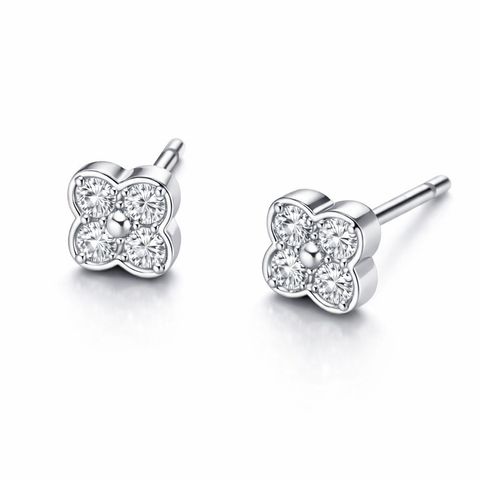 image_916D193B-1610-403D-B71D-15D718AB61AF_1775535542