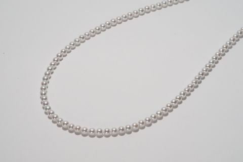 image_5E1951F5-0325-4162-8E47-6F91A42C087C_1763015172