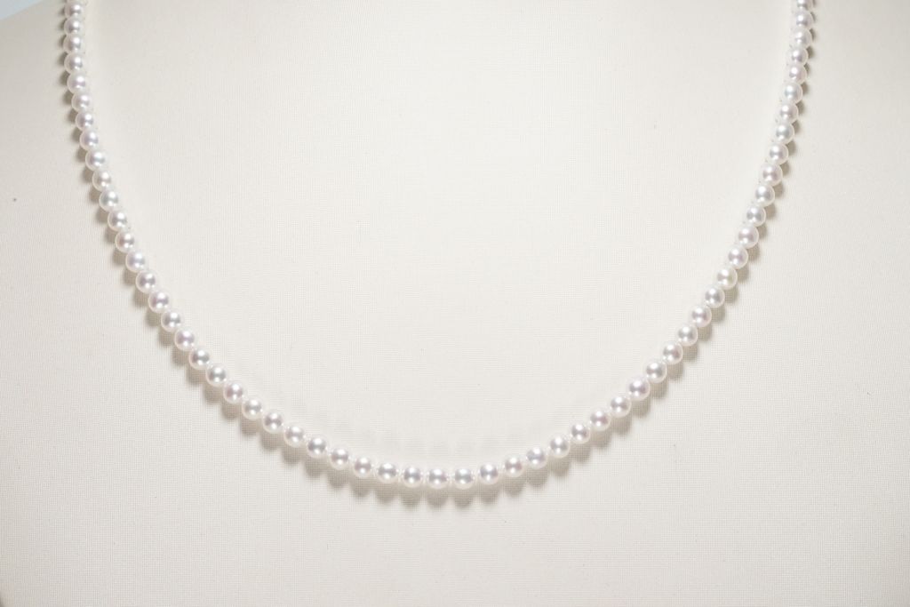 image_8BAA5F8F-C211-45A6-A9DD-AAC30FE57AC1_1763015218