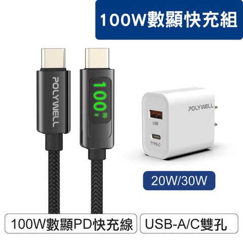 Dual-Port＋數顯100w_CtoC