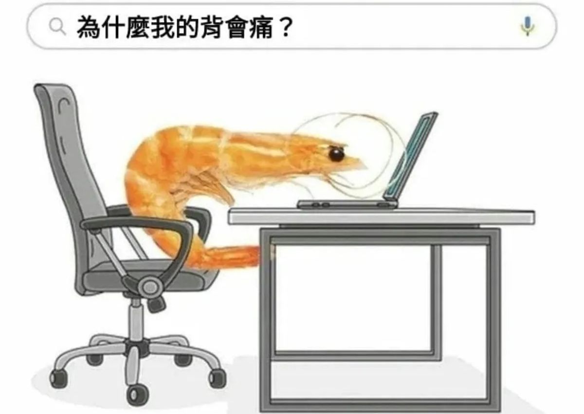 久坐腰痠一定要買人體工學椅嗎？省錢替代方案與正確坐姿調整大整理！看這篇就可以了