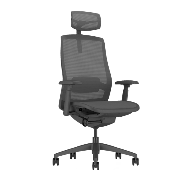 sano-front-45-bk-600