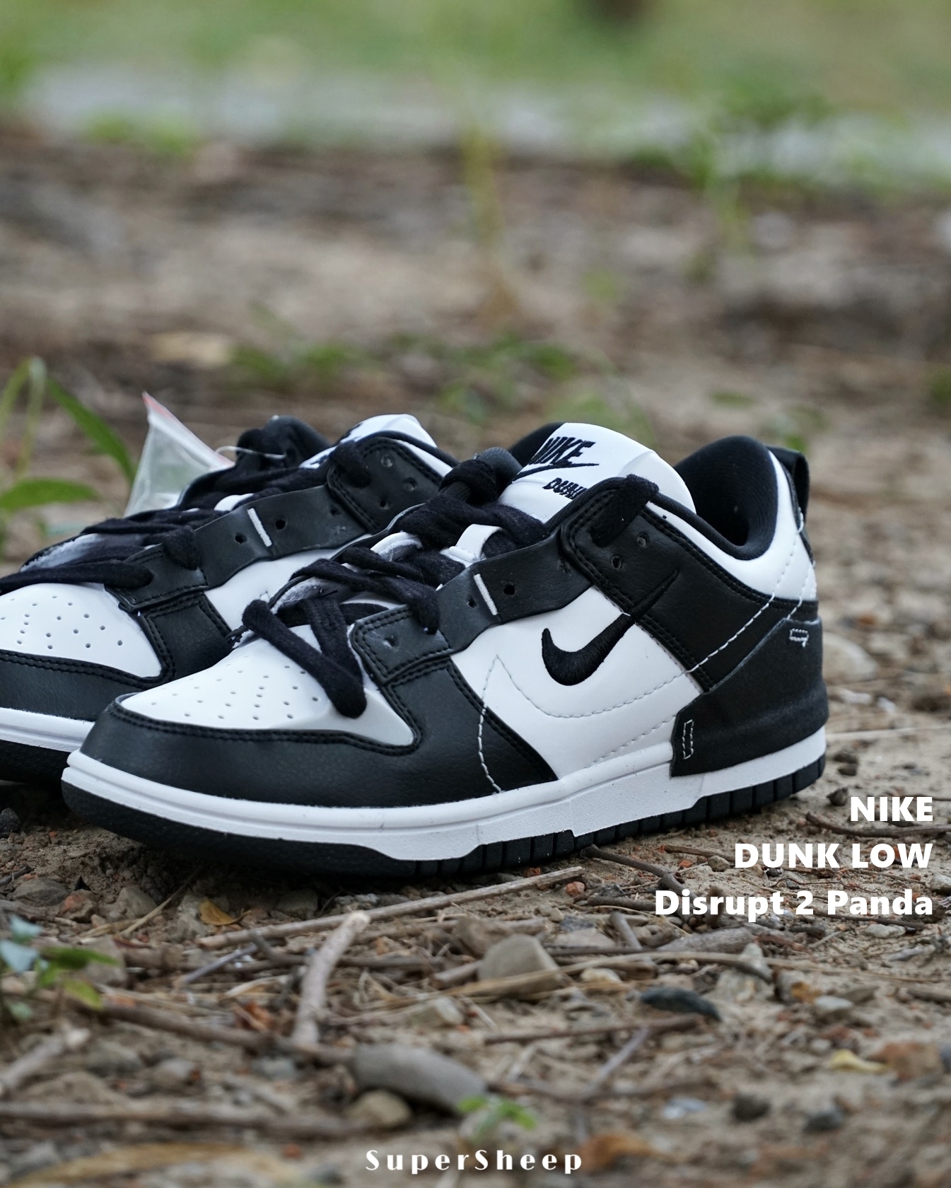 Nike Dunk Disrupt 2 解構環保雙勾女款熊貓黑白DV4024-002 – Supersheep