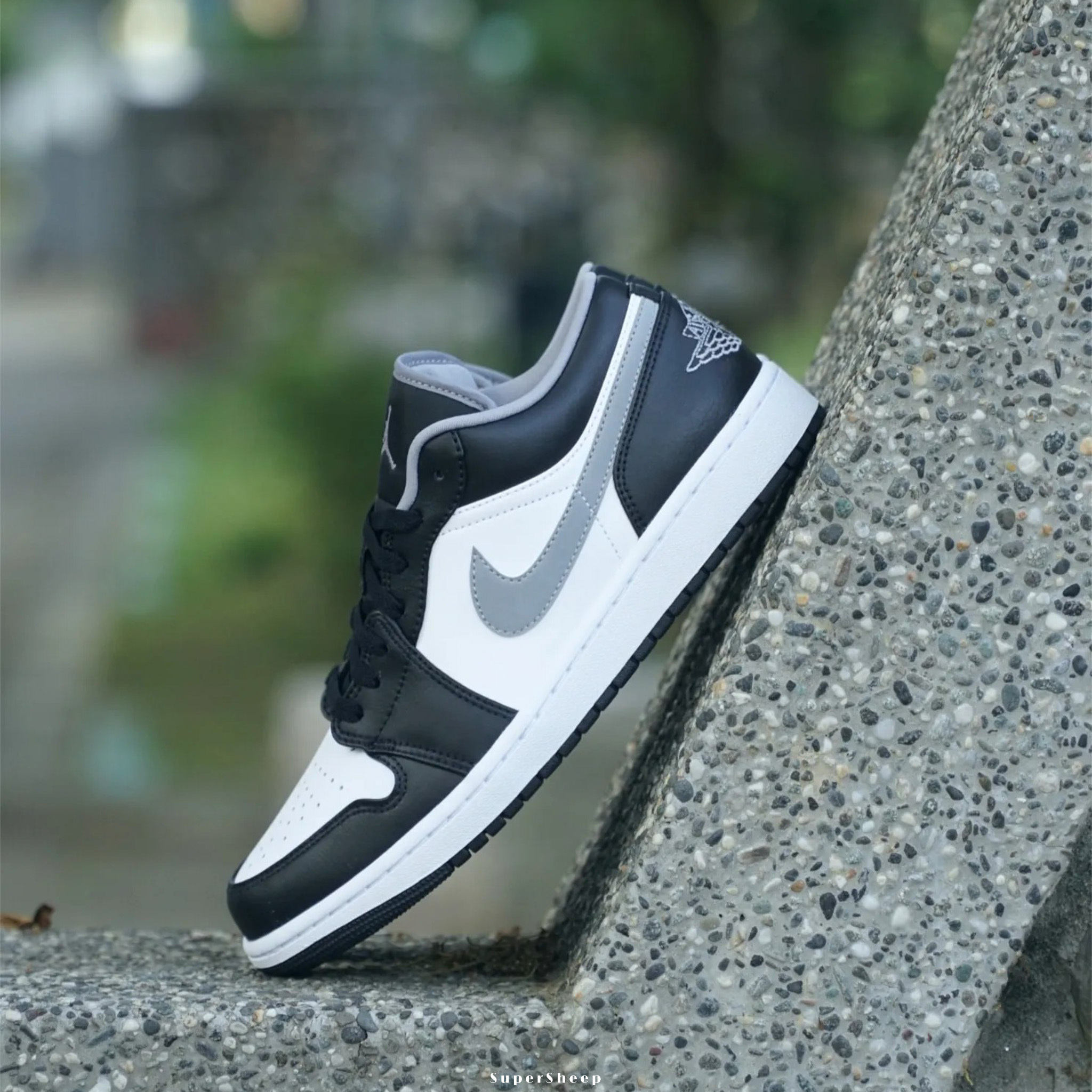 line_oa_chat_251010_192742