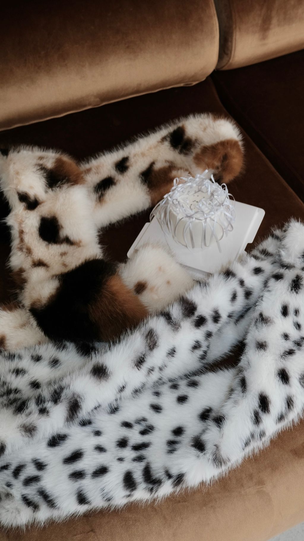 image_1BF2B8F1-D958-4140-94C2-5A5C8E27136A_1765949844