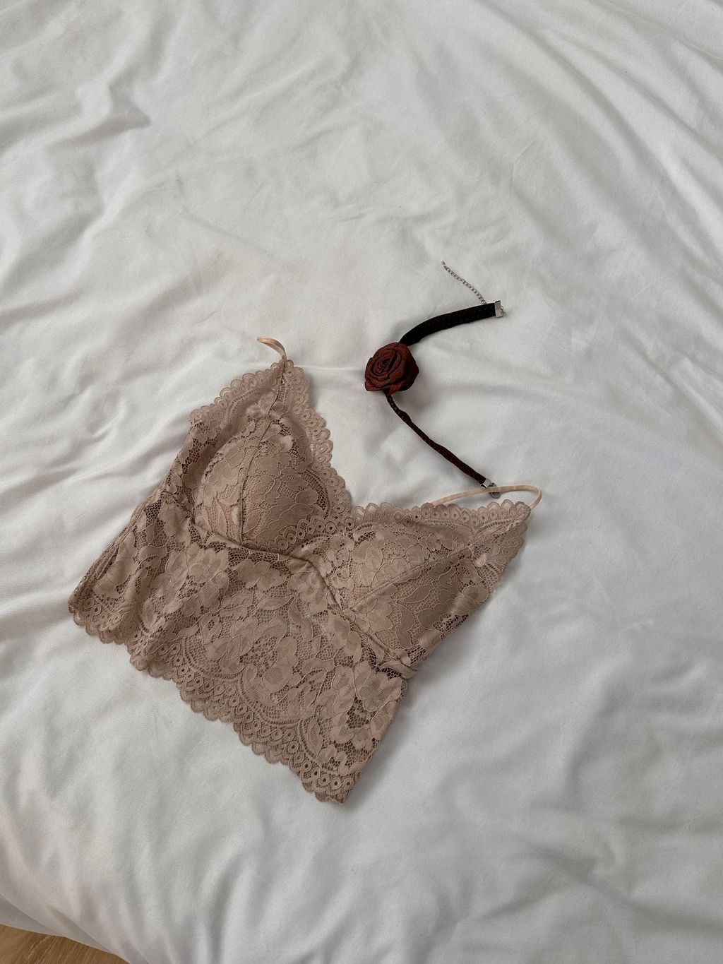 IMG_4966-1723714002306