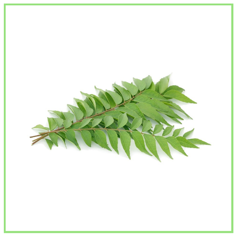 Daun Kari