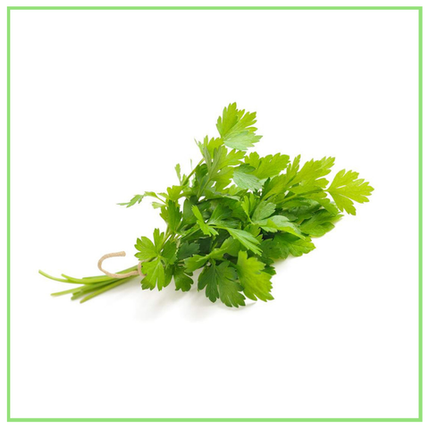 Daun Parsli