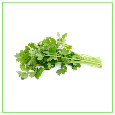 Daun Sup_Blanched Celery