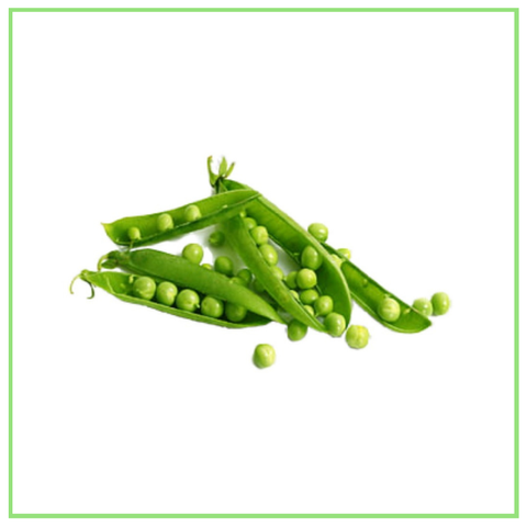 KACANG PIS_PEAS