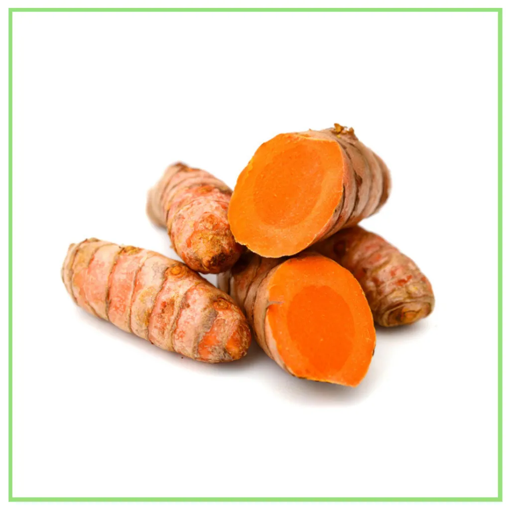 KUNYIT HIDUP_TURMERIC