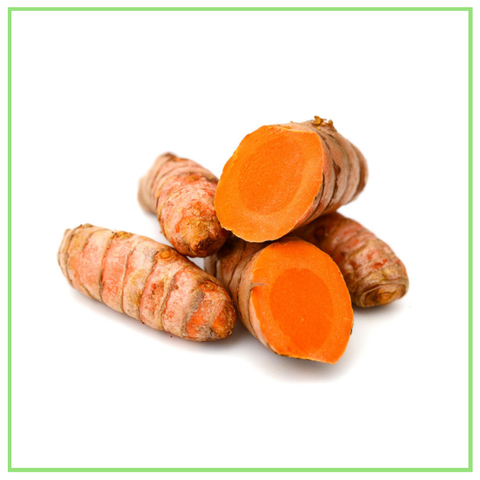 KUNYIT HIDUP_TURMERIC