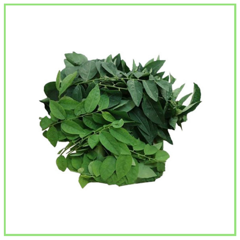 PUCUK MANIS_SWEET LEAF