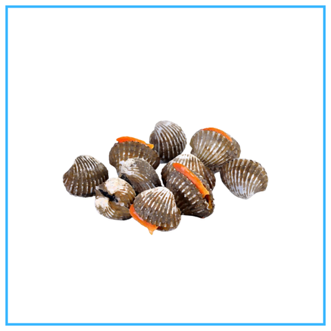 Kerang