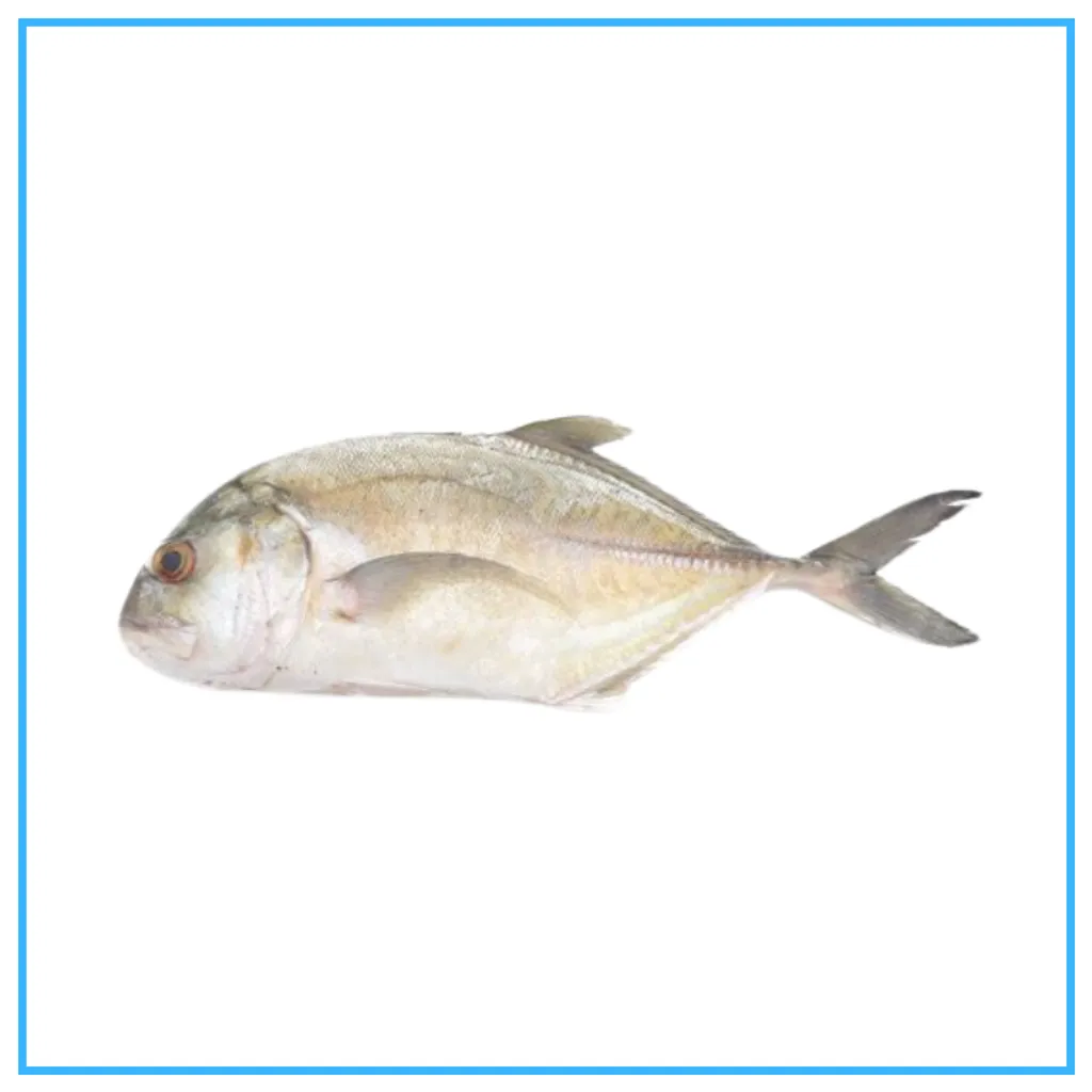 Nyok
