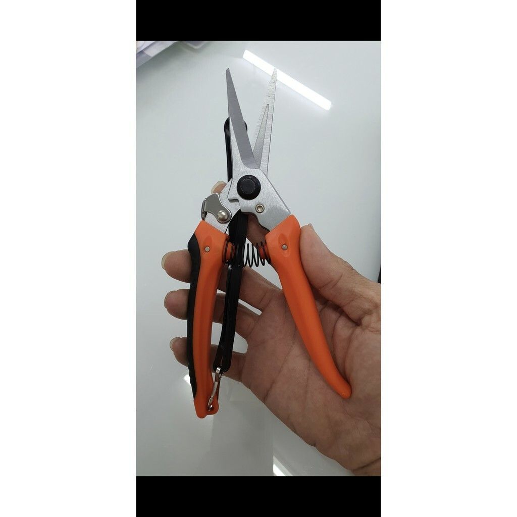bb9ab25c130c09524f8fe4db12ae79d3