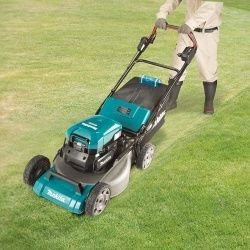 fa255d79b9d330850cc27281d61e7147