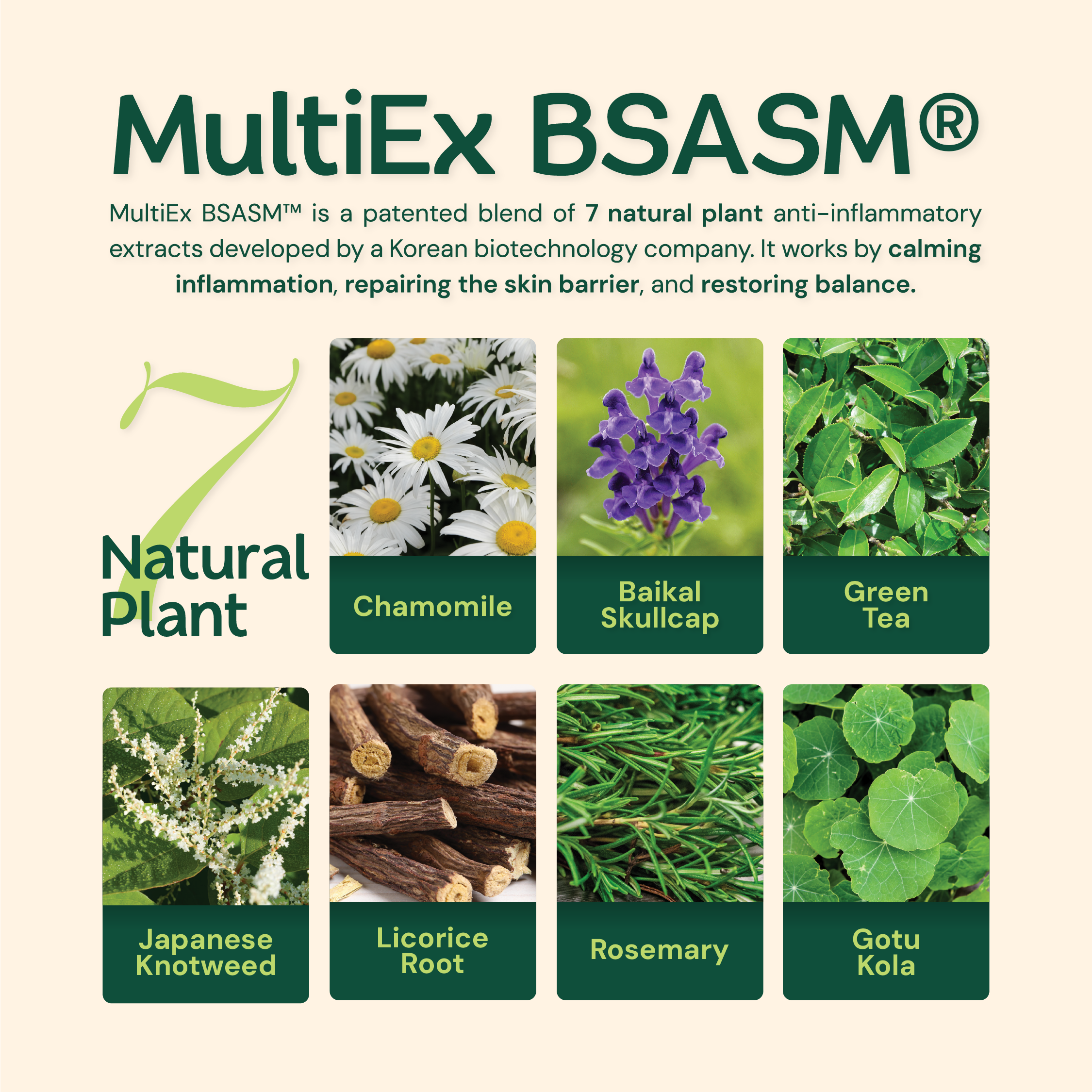 Balm Series Showcase 7