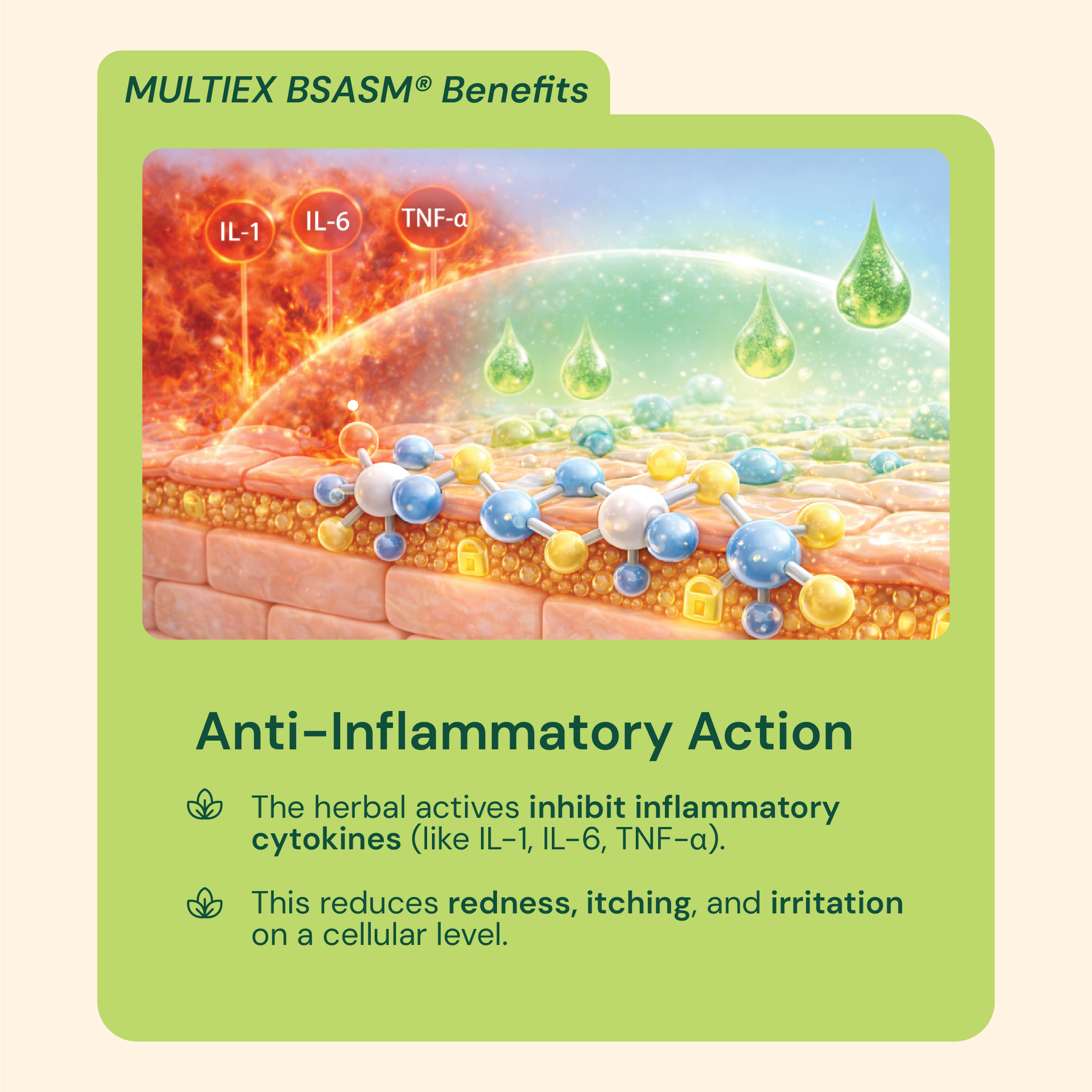 Balm Series Showcase 8