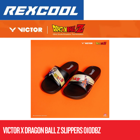 Rexcool Website Listing.zip - 1-1746580083395