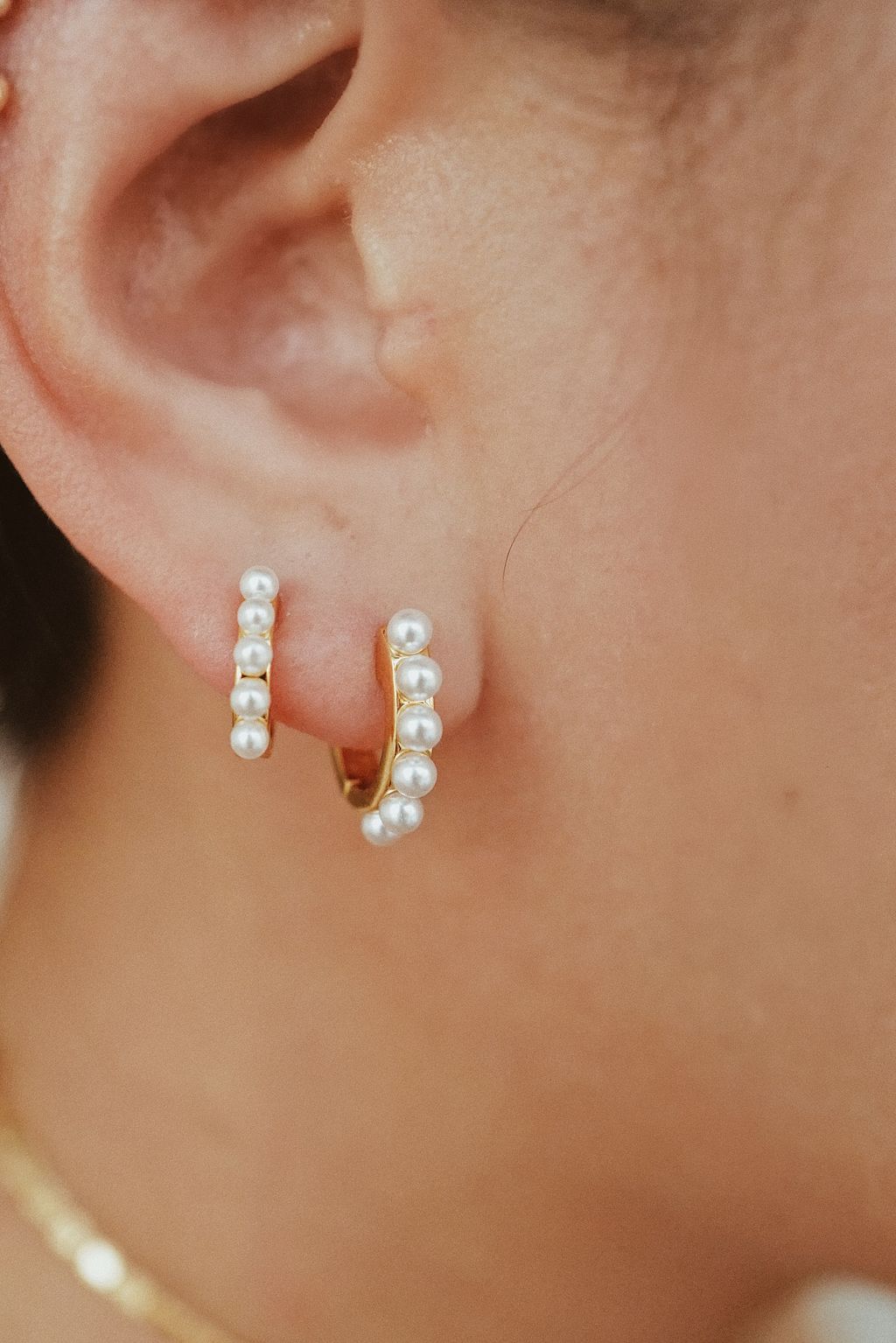 E4E17BED-B5DD-4F0B-9220-3F6423E840FD