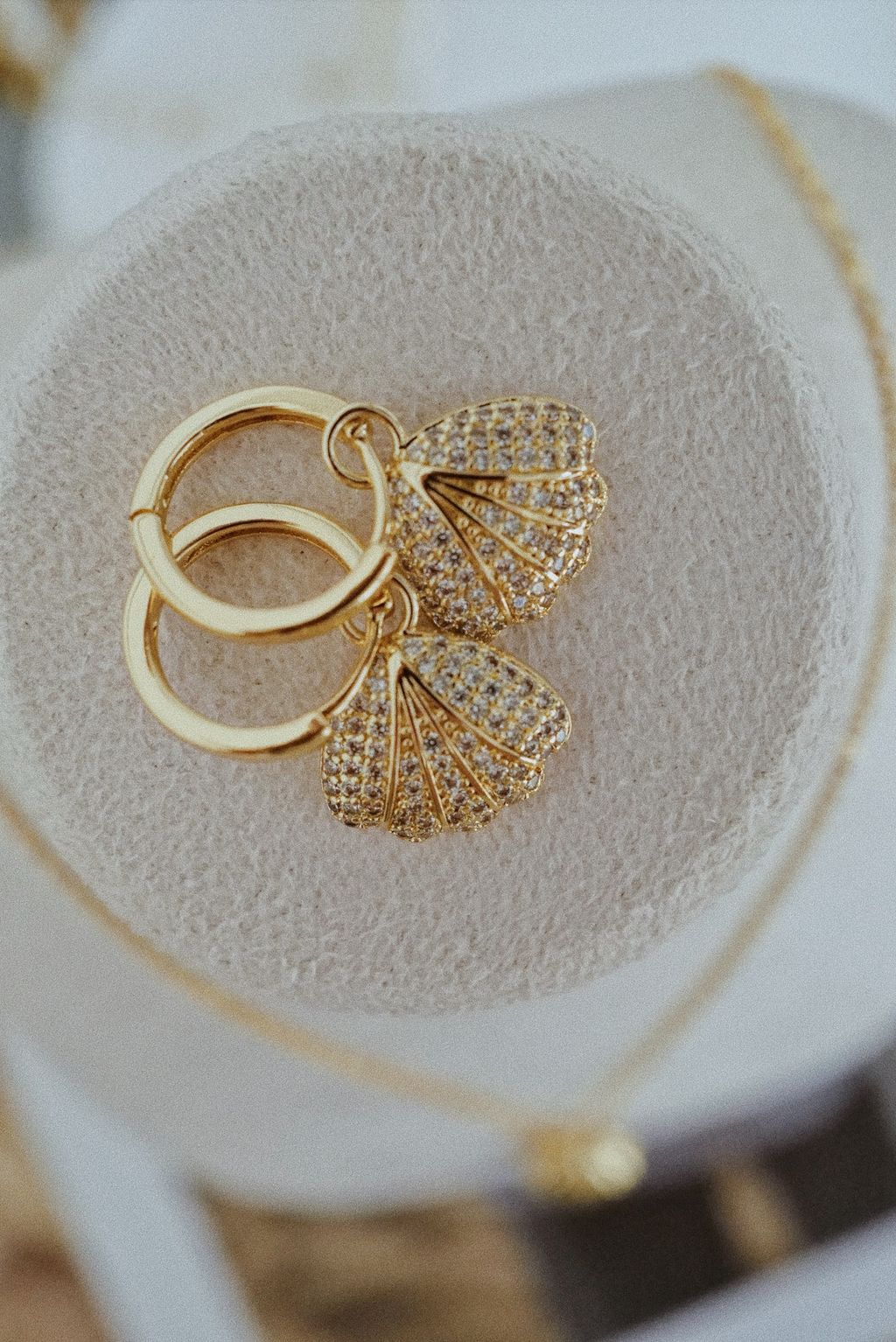 PenultimateFullSizeRender