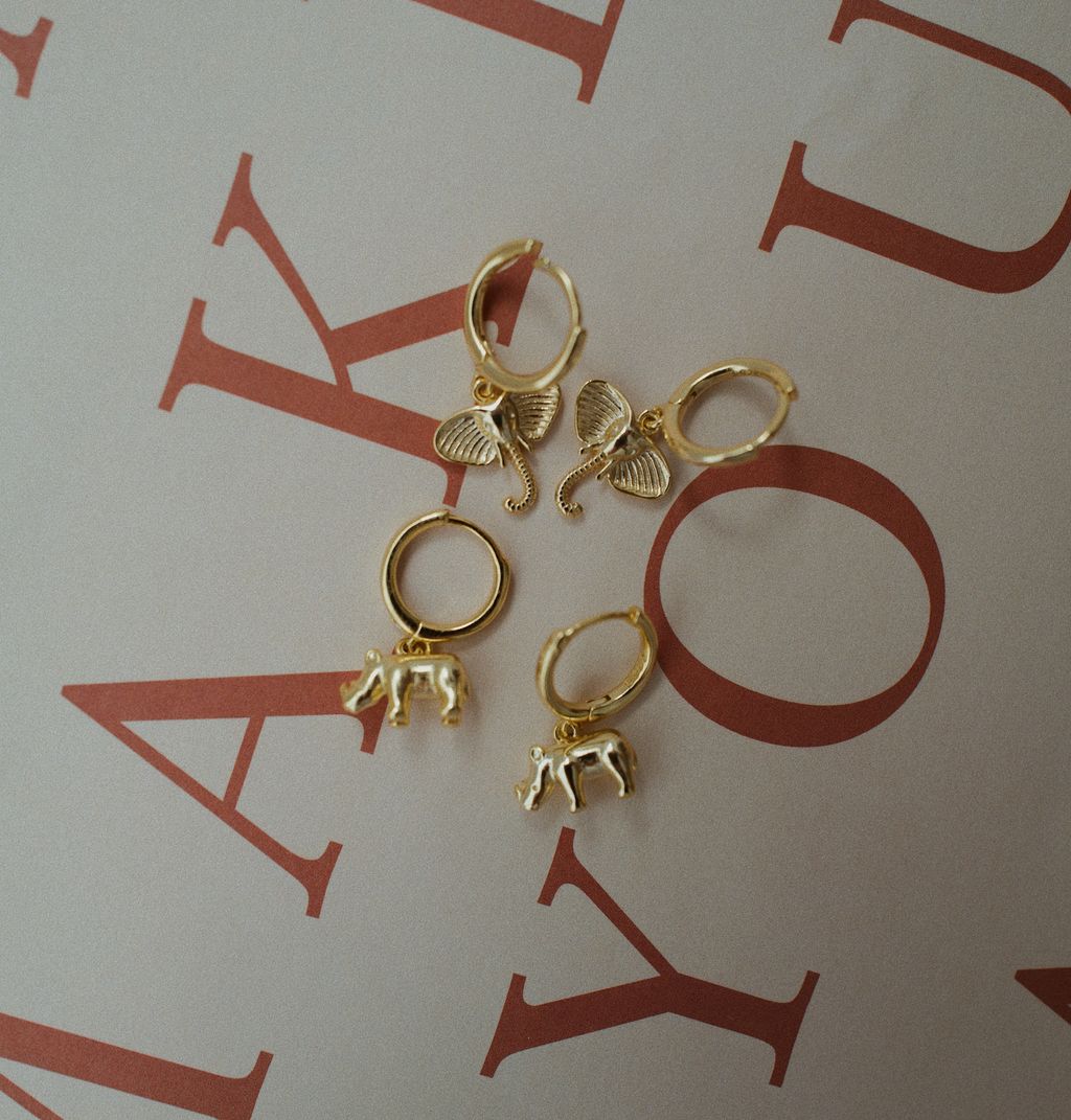 L1121550-1696489847709