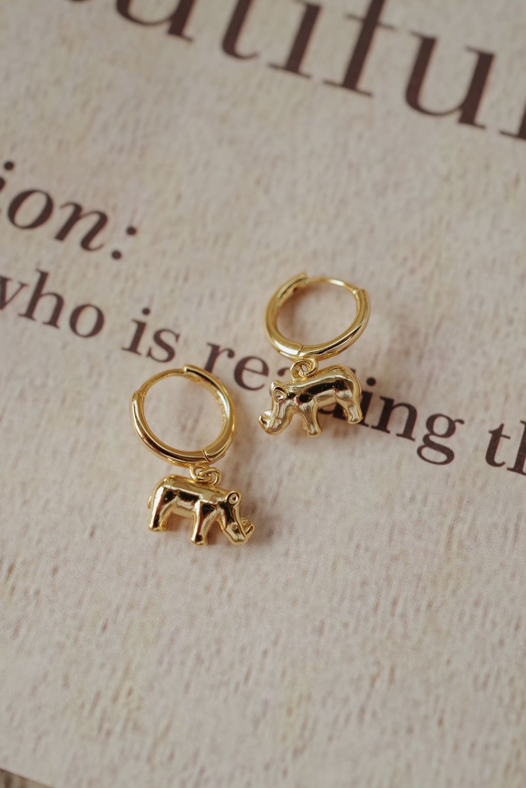 L1122103-1696493563081