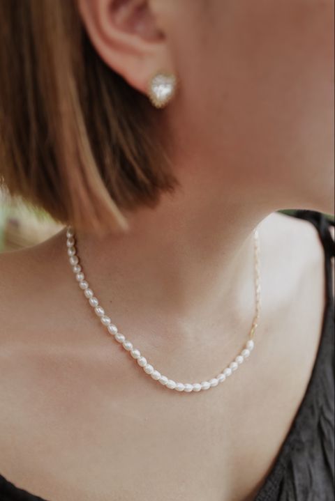 IMG_8538-1699619347187