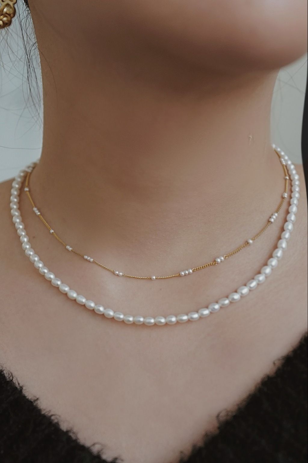 IMG_8509-1742780605994