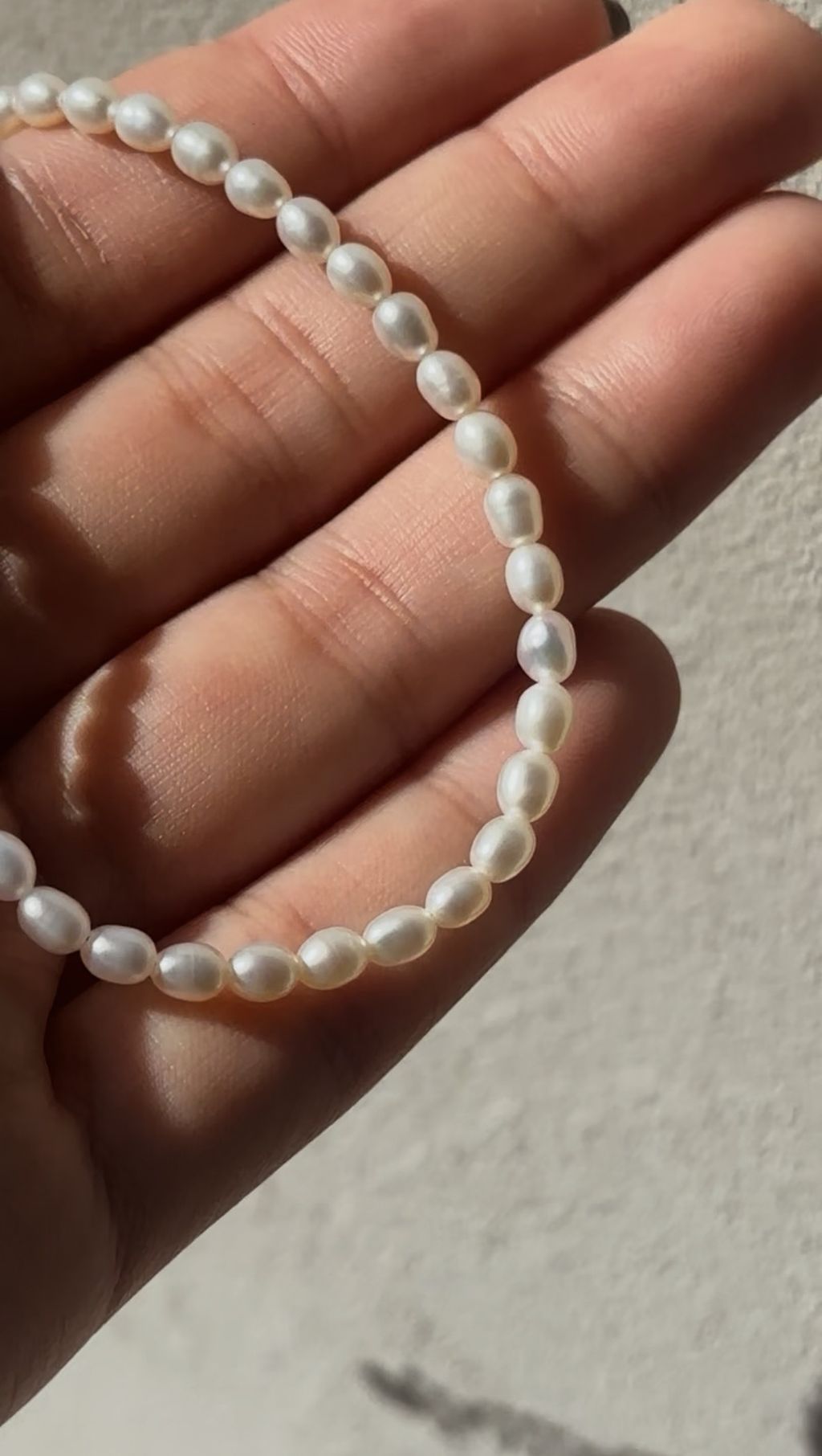 FullSizeRender-1742808097924