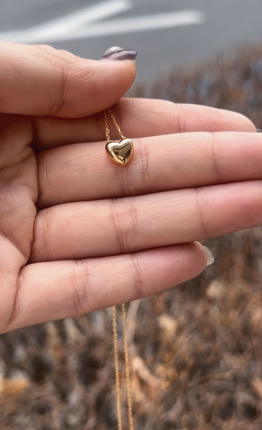 PenultimateFullSizeRender-1742821864816